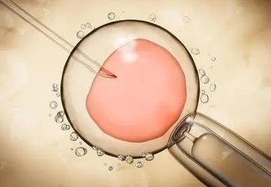 光愈生殖医学中心环境